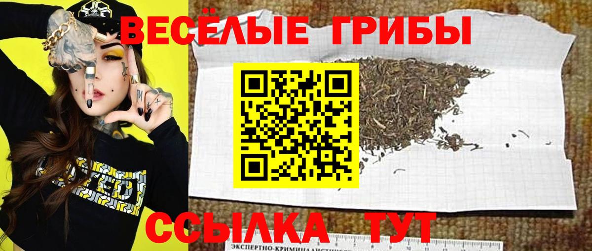 Галлюциногенные грибы мухоморы  Вход с VPN  Анапа 