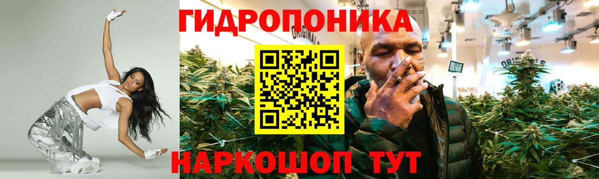 Шишки марихуана сатива Анапа
